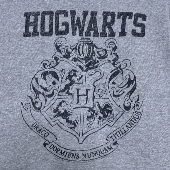 Harry Potter Adult Size Medium Hogwarts Crest Crewneck Sweatshirt, Light Gray - Picture 2 of 6